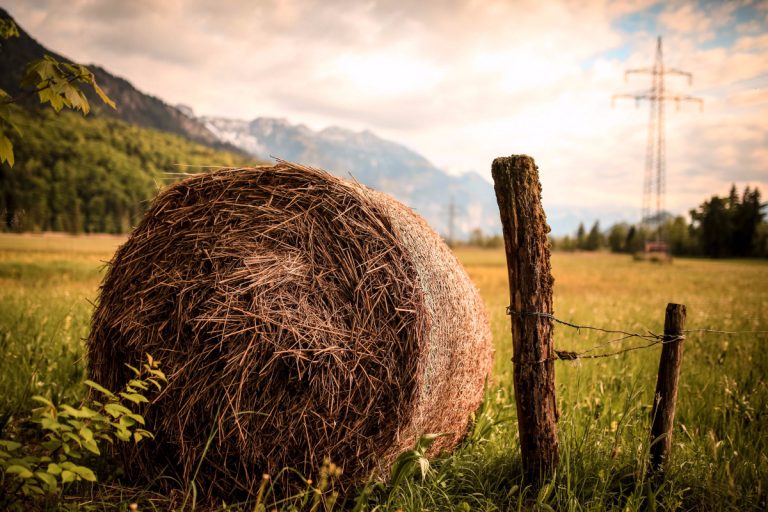 Nearly Free Home You Can Build Yourself? Try Straw Bale.