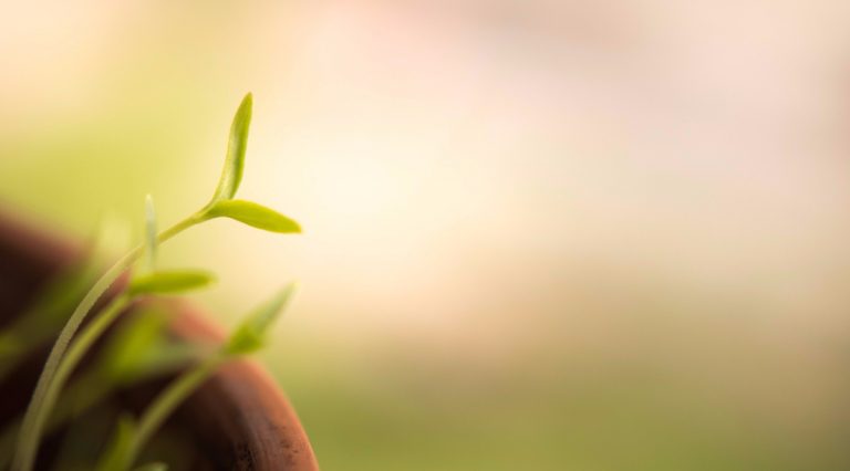 How Blogging Helps You Learn