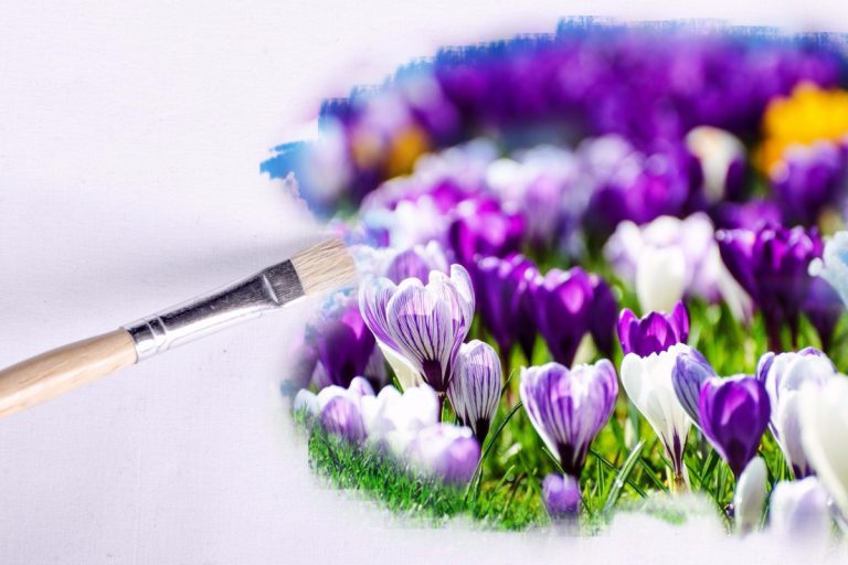 Pinterests Viral Purple Trees Debunked