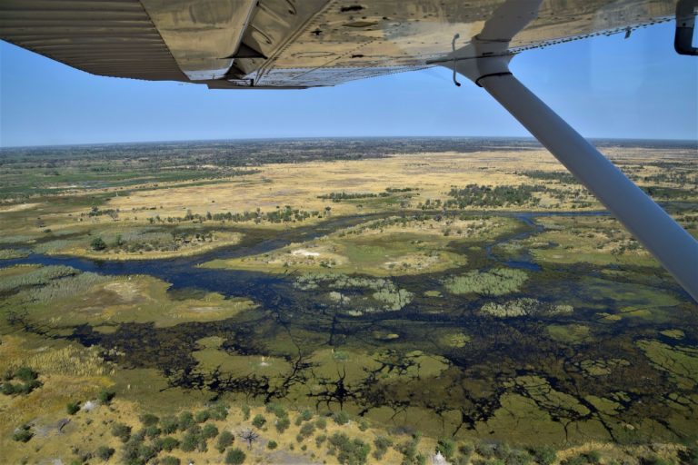 Safari Journals: Day 10: Bucket List
