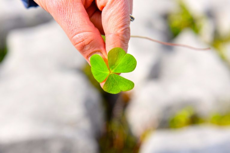 Dye the World Green: What is Saint Patrick’s Day, Really?