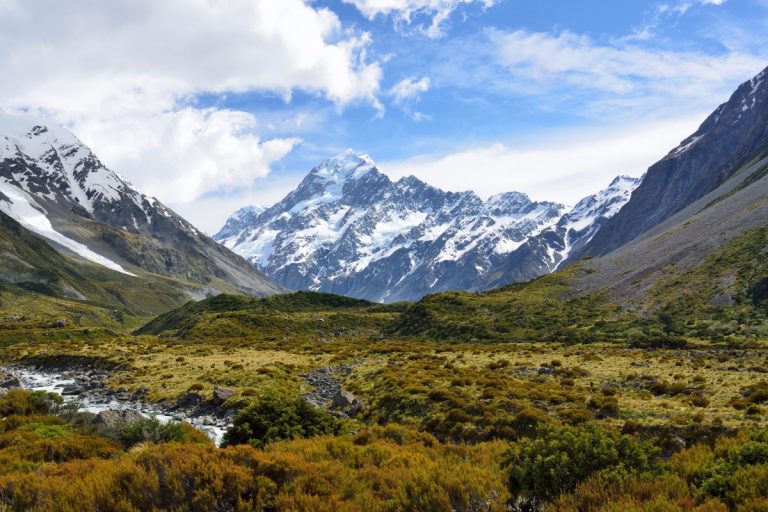 New Zealand Pro Trips
