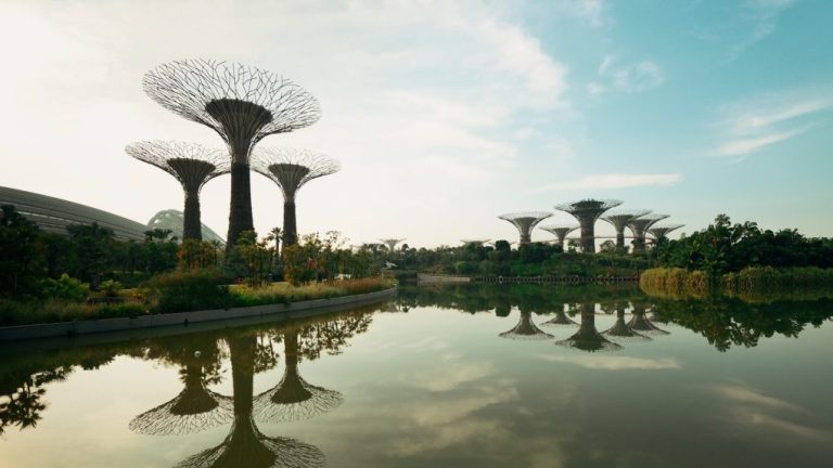 Things to Do in Garden by the Bay, Singapore: A Comprehensive Guide