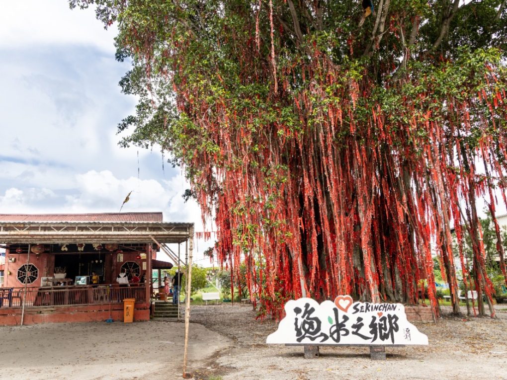 kuala selangor sekinchan day trip