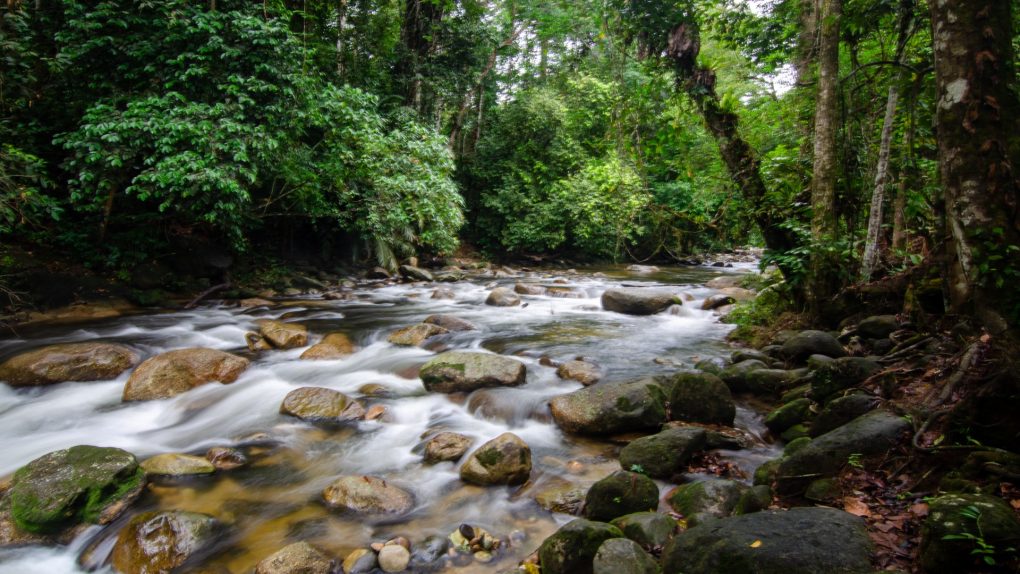 kedah travel place