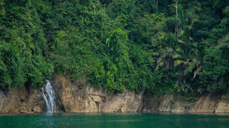 Things to Do in Tasik Kenyir: A Comprehensive Guide to the Top Attractions and Activities in the Area