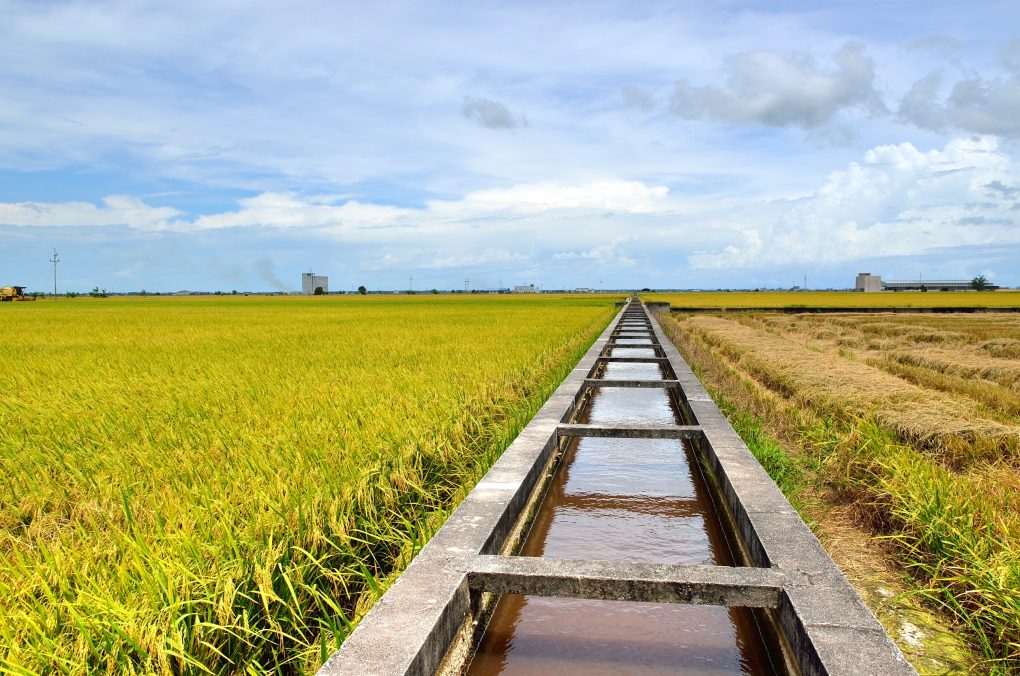 kuala selangor sekinchan day trip