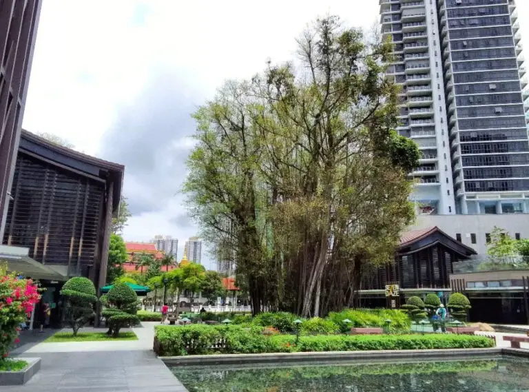 Things to Do in Novena, Singapore: A Comprehensive Guide