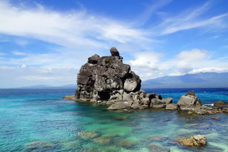 Things to Do in Apo Island: A Comprehensive Guide