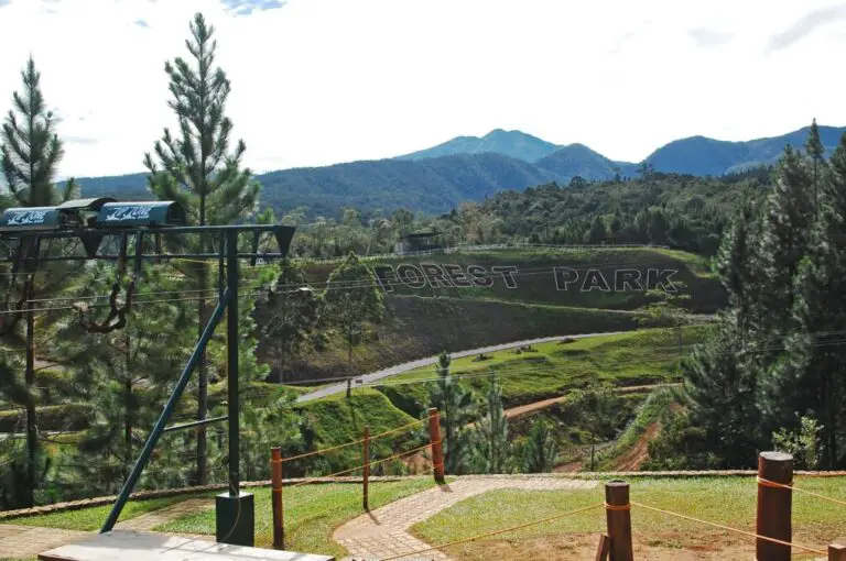 Things to do in Bukidnon: A Comprehensive Guide for Travelers